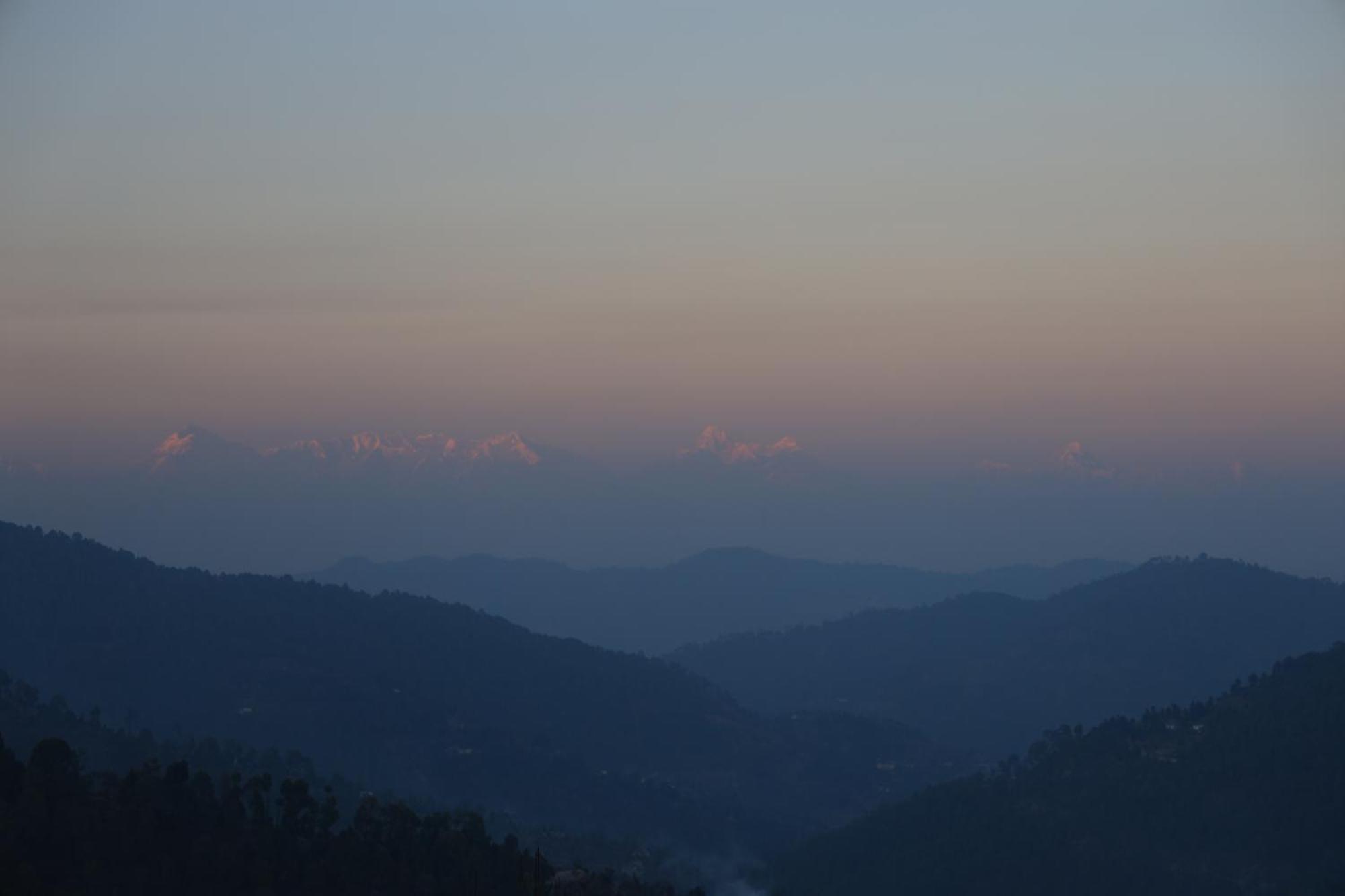 The Pahadi Nest Mukteshwar Hotell Eksteriør bilde