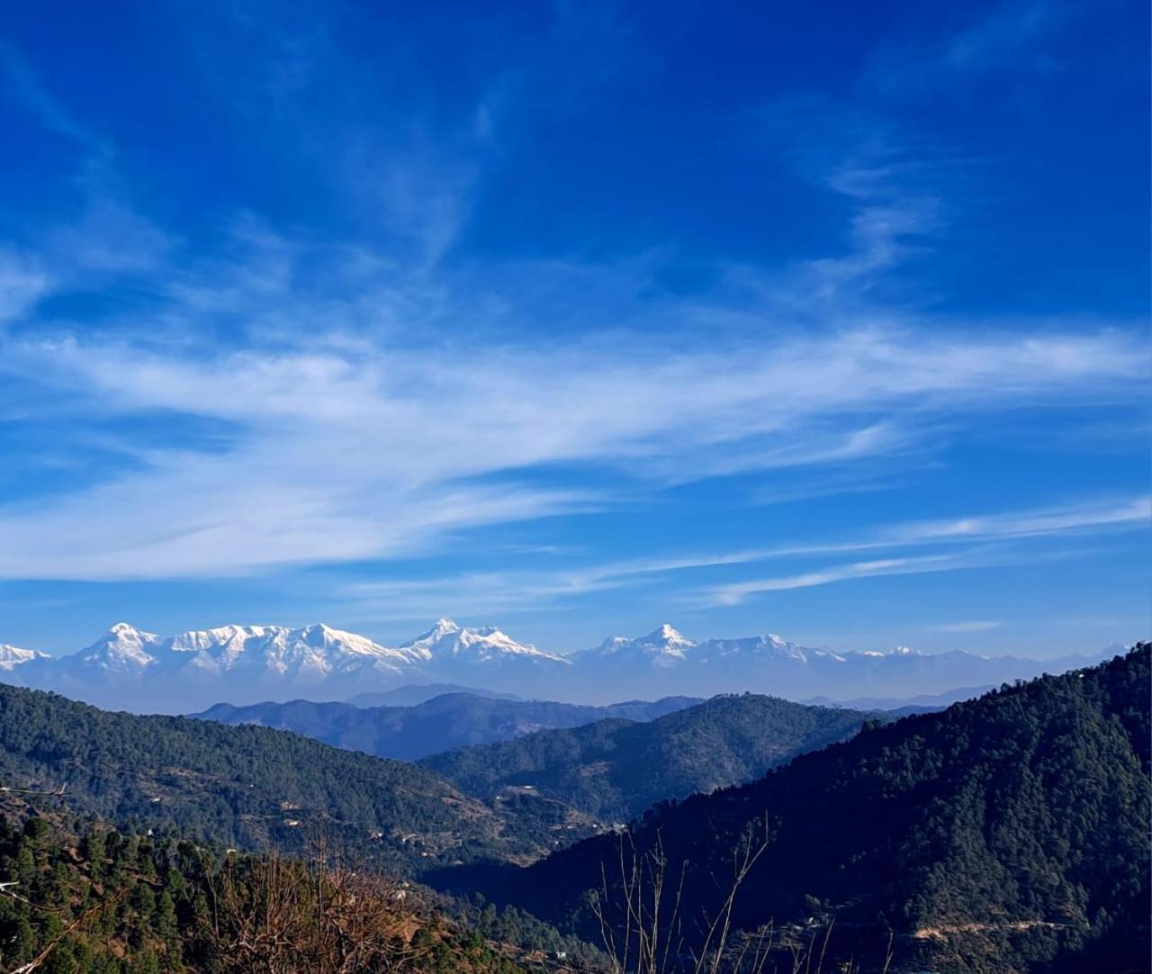 The Pahadi Nest Mukteshwar Hotell Eksteriør bilde