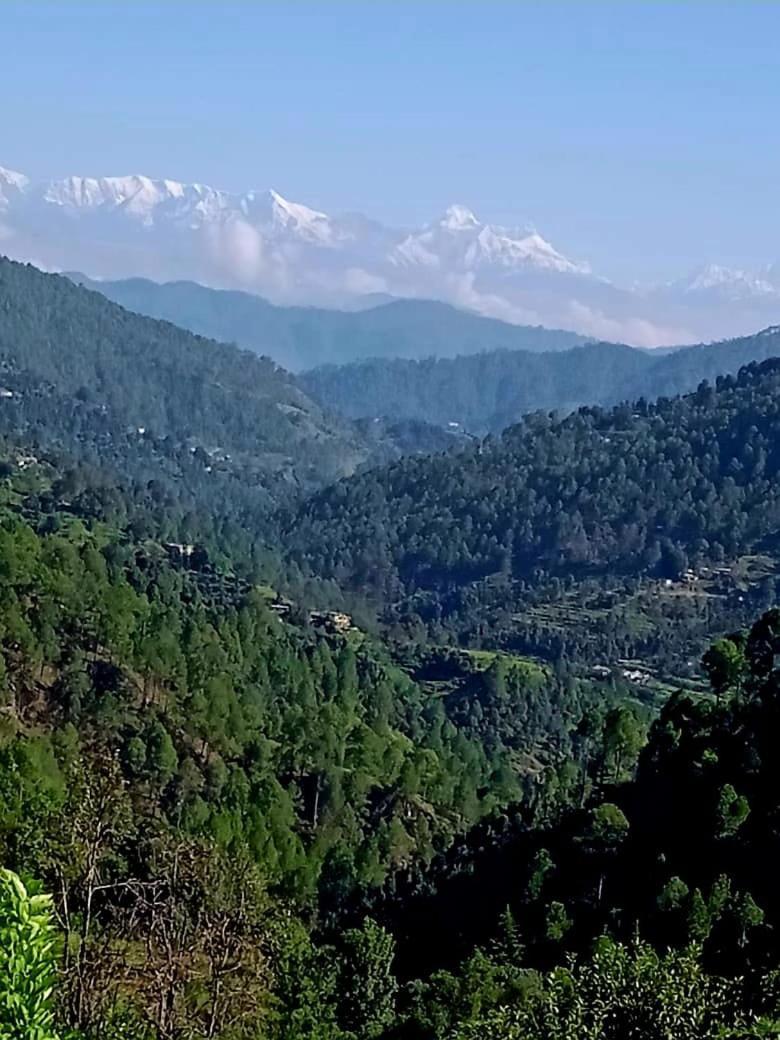 The Pahadi Nest Mukteshwar Hotell Eksteriør bilde