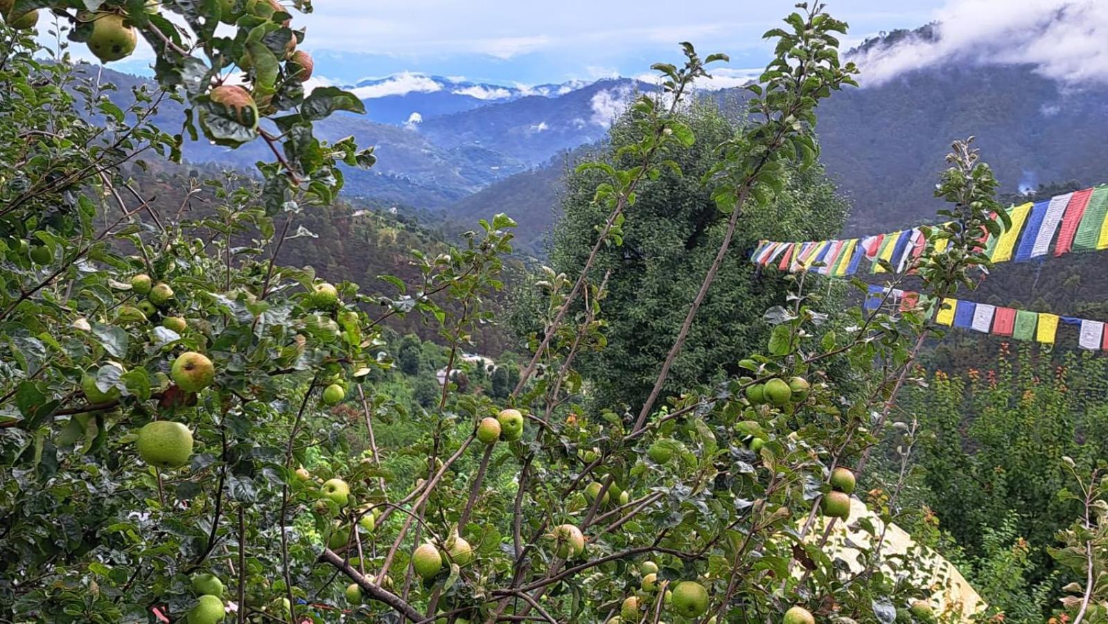 The Pahadi Nest Mukteshwar Hotell Eksteriør bilde
